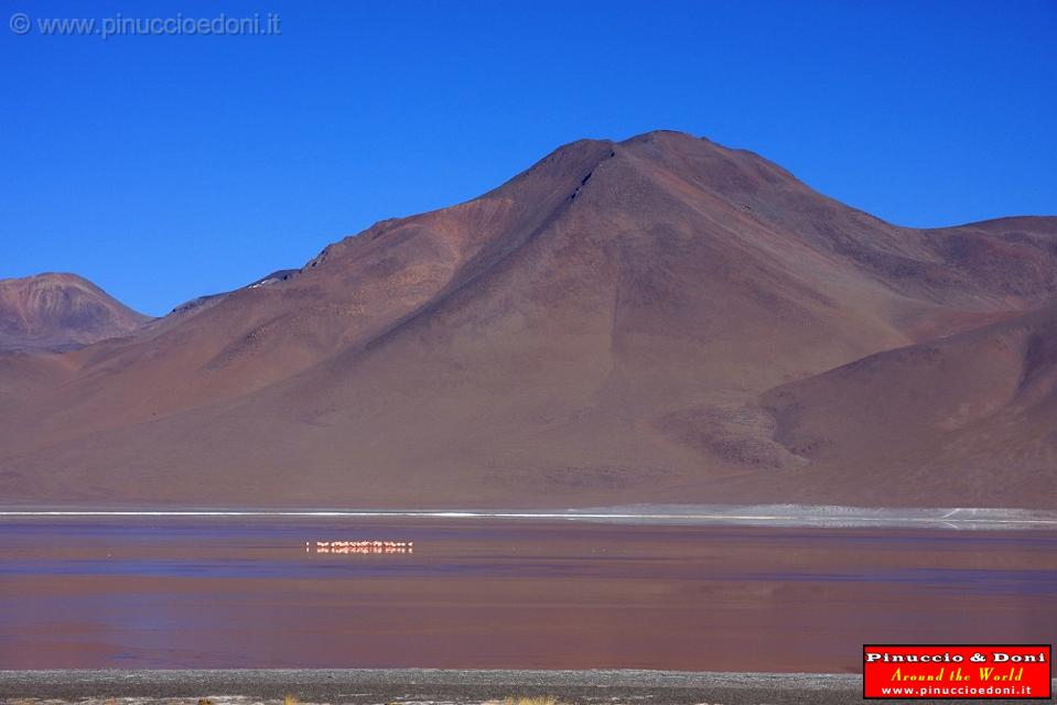 BOLIVIA - Verso il Chile - 08.jpg